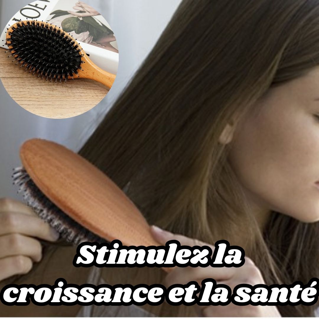 Brosse poil de sanglier | Élégance Sauvage - Nina Harmonie